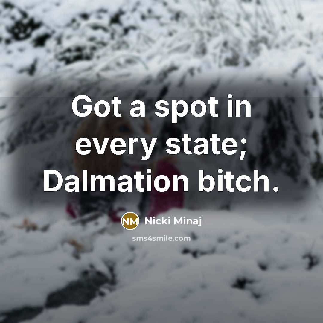 “Got a spot in every state; Dalmation bitch.” quote by Nicki Minaj