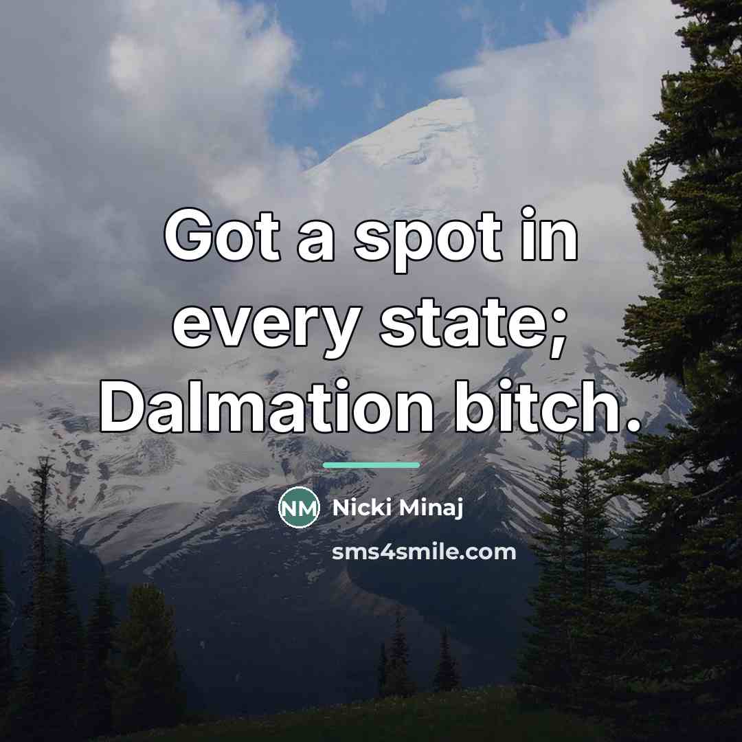 “Got a spot in every state; Dalmation bitch.…” quote by Nicki Minaj