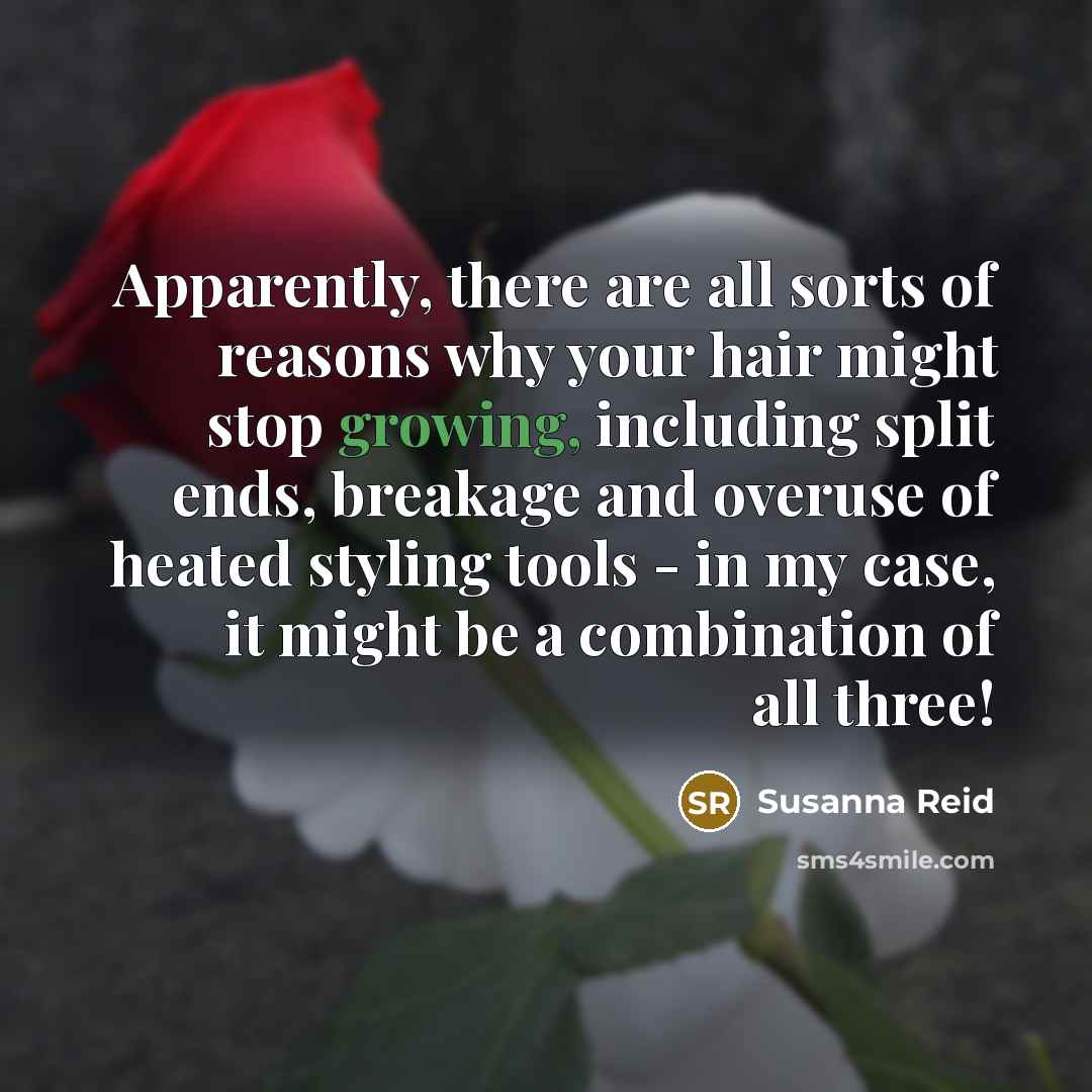 “Apparently, there are all sorts of reasons why your hair…” quote by Susanna Reid
