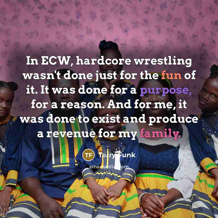 “In ECW, hardcore wrestling wasn't done just for the fun…” quote by Terry Funk