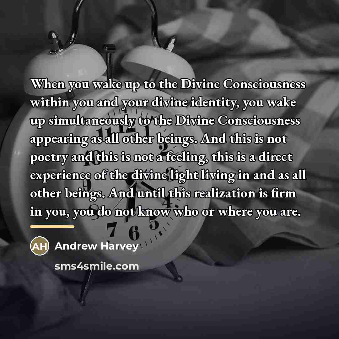 “When you wake up to the Divine Consciousness within you…” quote by Andrew Harvey