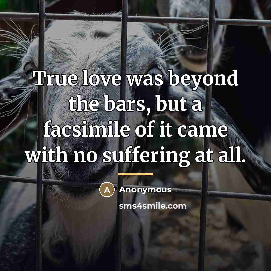 “True love was beyond the bars, but a facsimile of…” quote by Anonymous