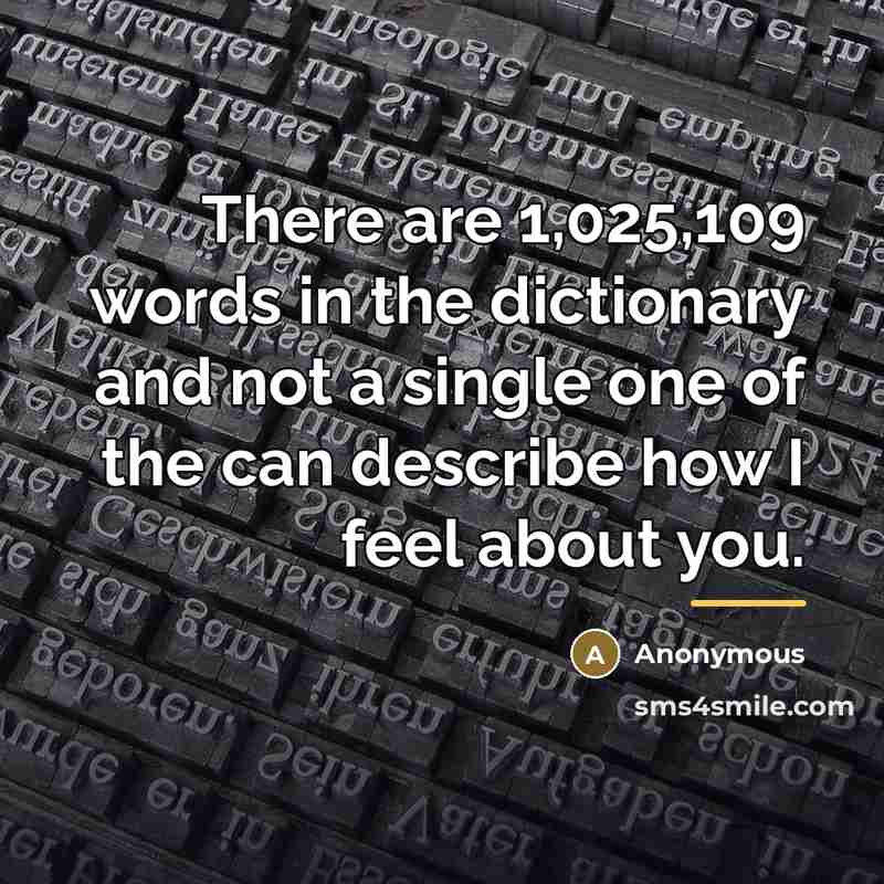 “There are 1,025,109 words in the dictionary and not a…” quote by Anonymous