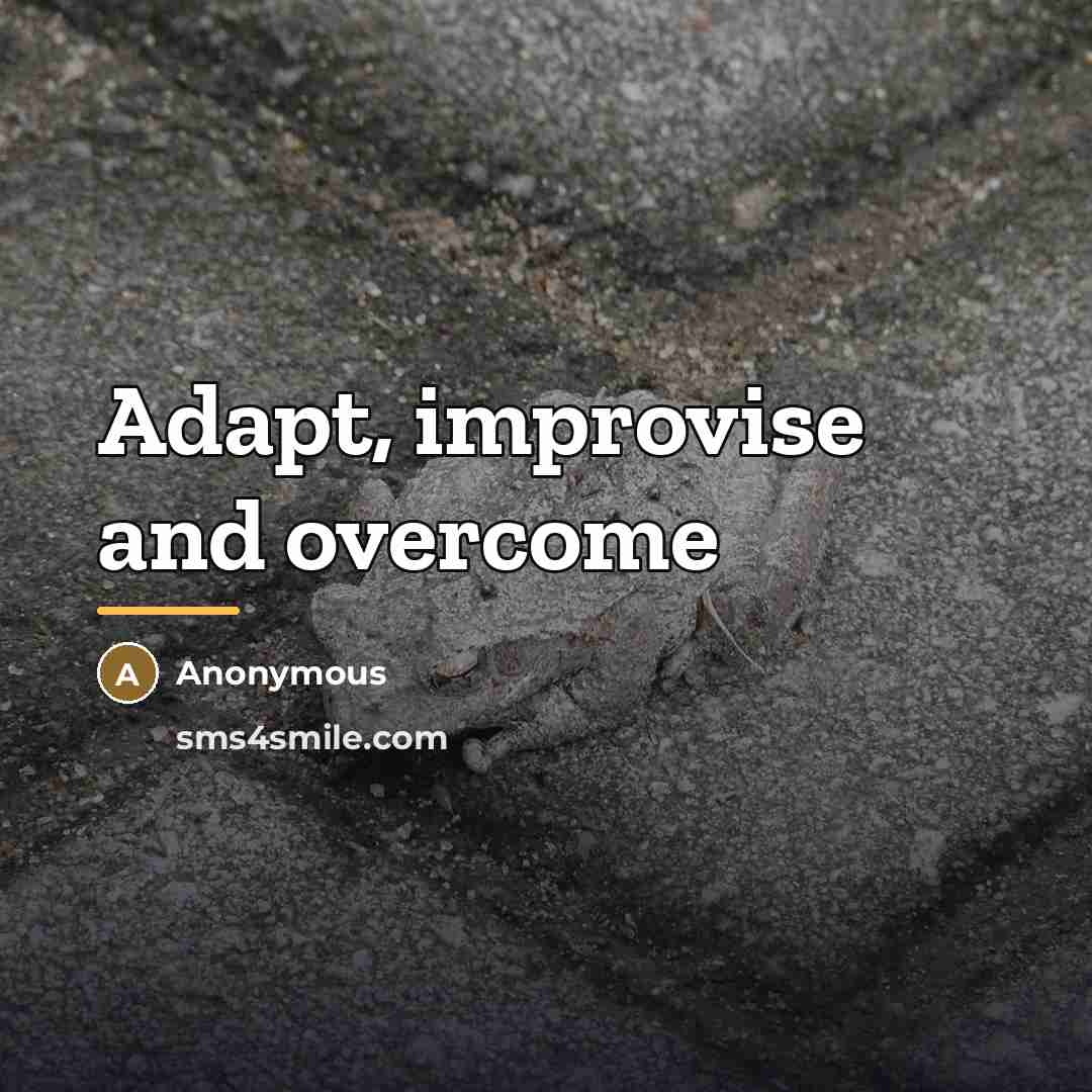 “Adapt, improvise and overcome…” quote by Anonymous