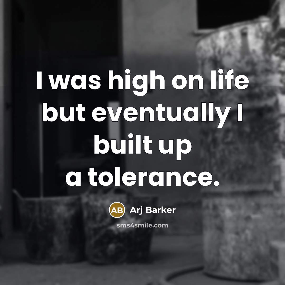 “I was high on life but eventually I built up…” quote by Arj Barker