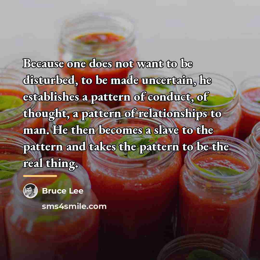 “Because one does not want to be disturbed, to be…” quote by Bruce Lee