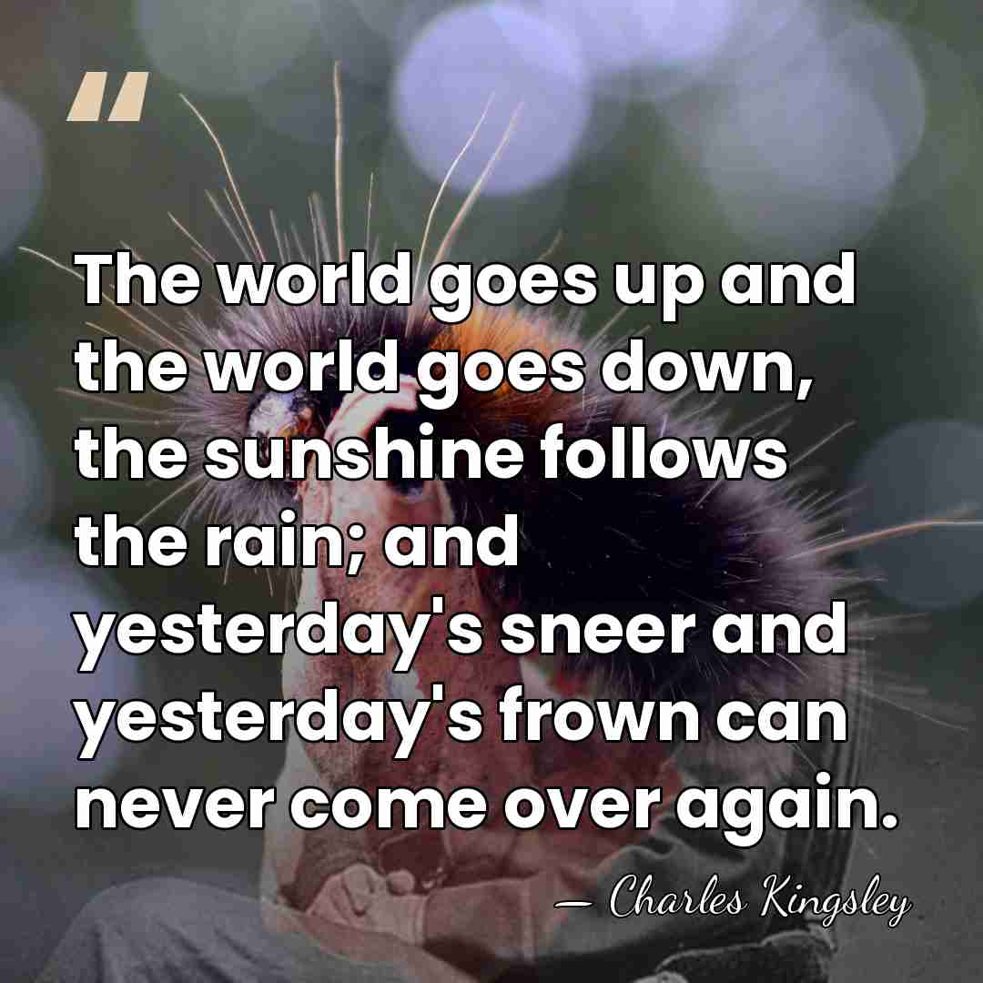 The world goes up and the world goes down, the sunshine follows&hellip; - Charles Kingsley