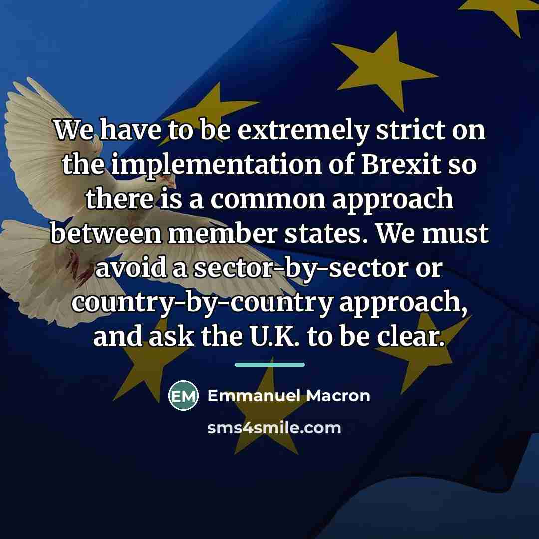 “We have to be extremely strict on the implementation of…” quote by Emmanuel Macron