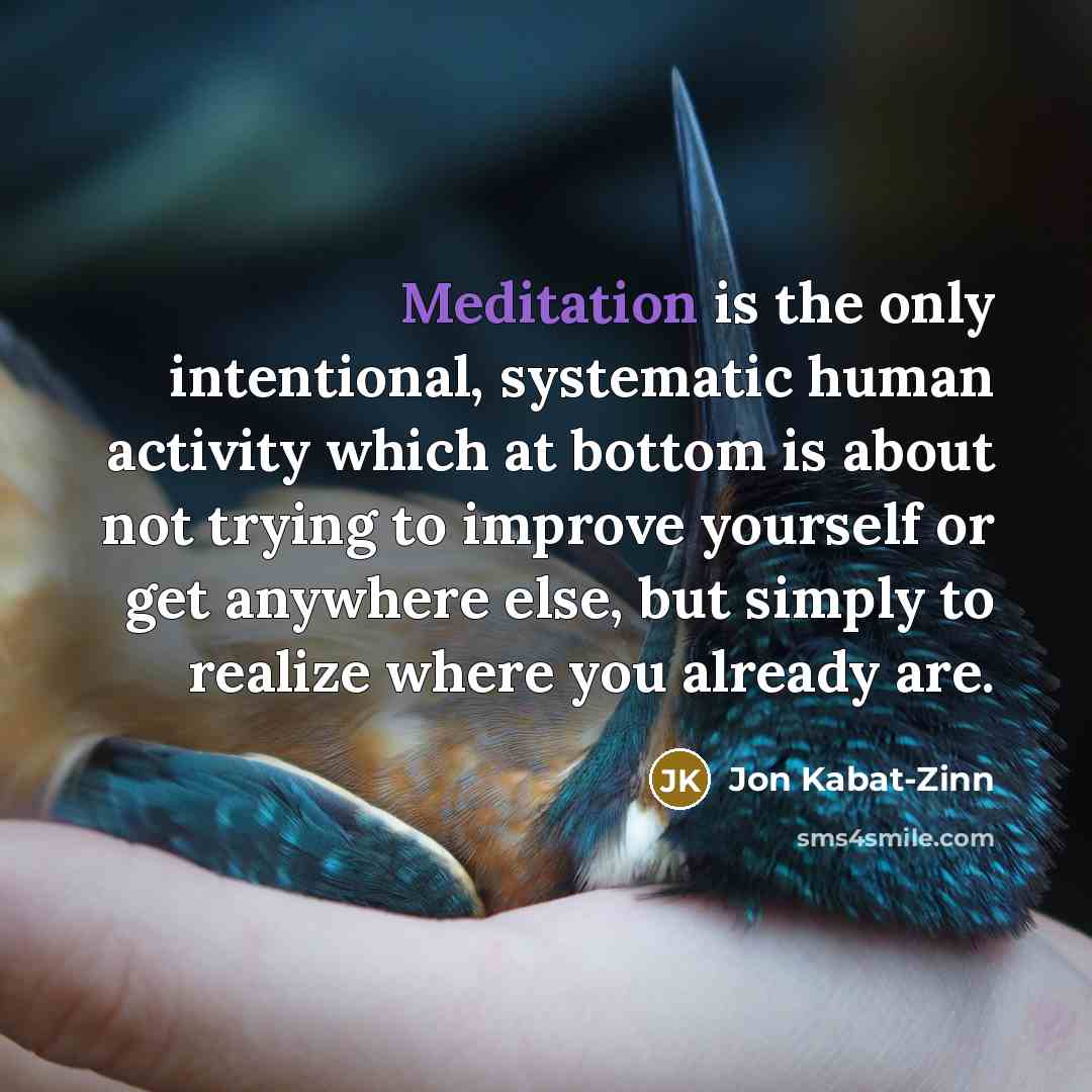“Meditation is the only intentional, systematic human activity which at…” quote by Jon Kabat-Zinn