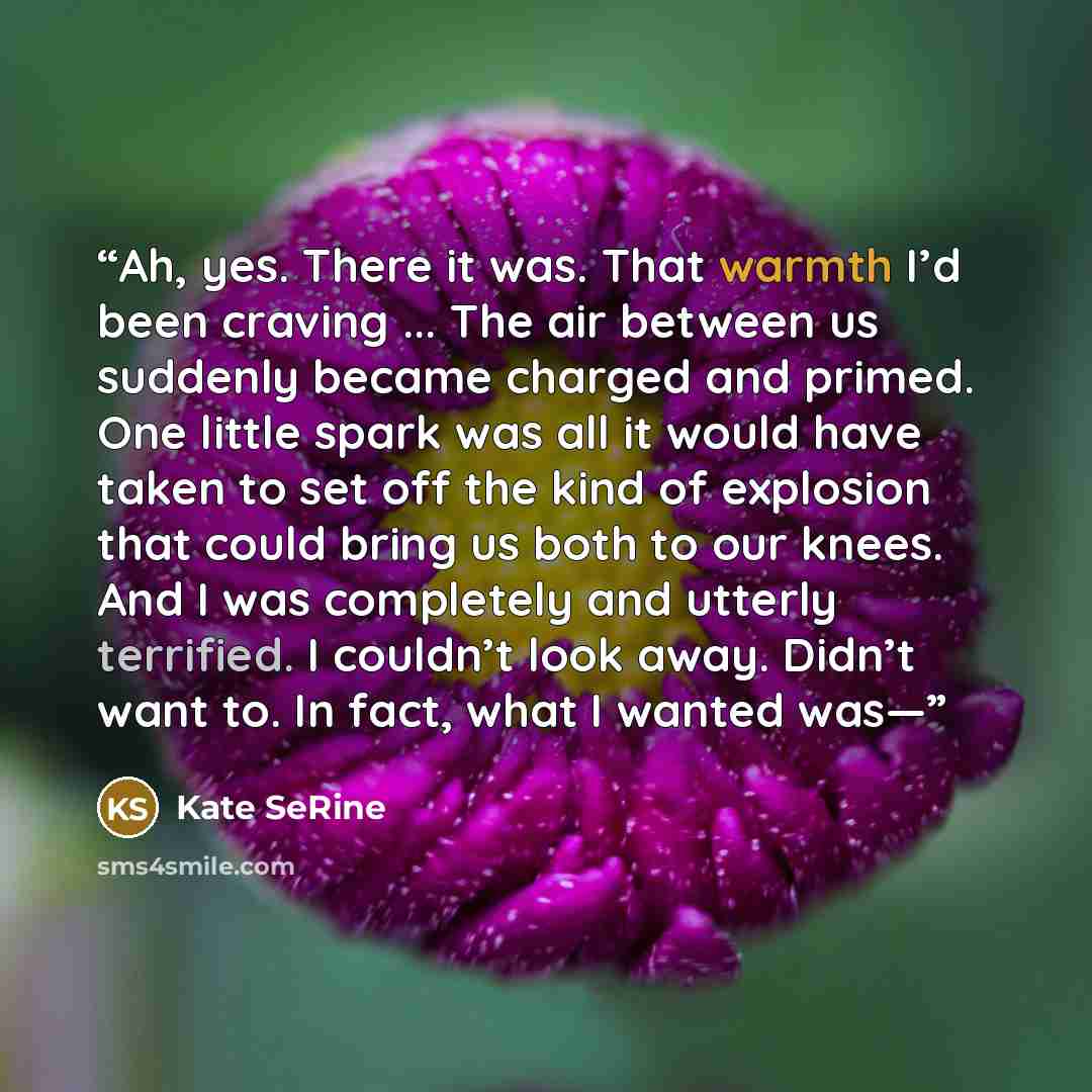 “Ah, yes. There it was. That warmth I’d been craving ... The air between us suddenly became charged and primed. One little spark was all it would have taken to set off the kind of explosion that could bring us both to our knees. And I was completely and utterly terrified. I couldn’t look away…” quote by Kate SeRine