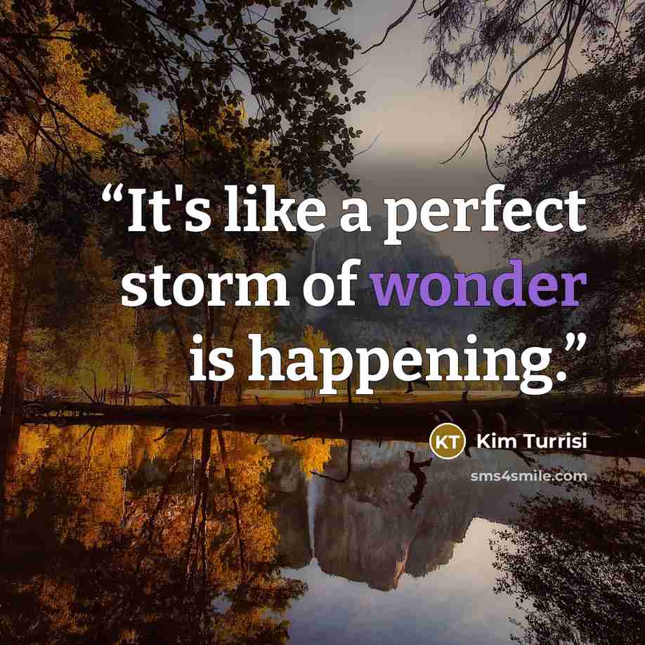 “It's like a perfect storm of wonder is happening.” quote by Kim Turrisi