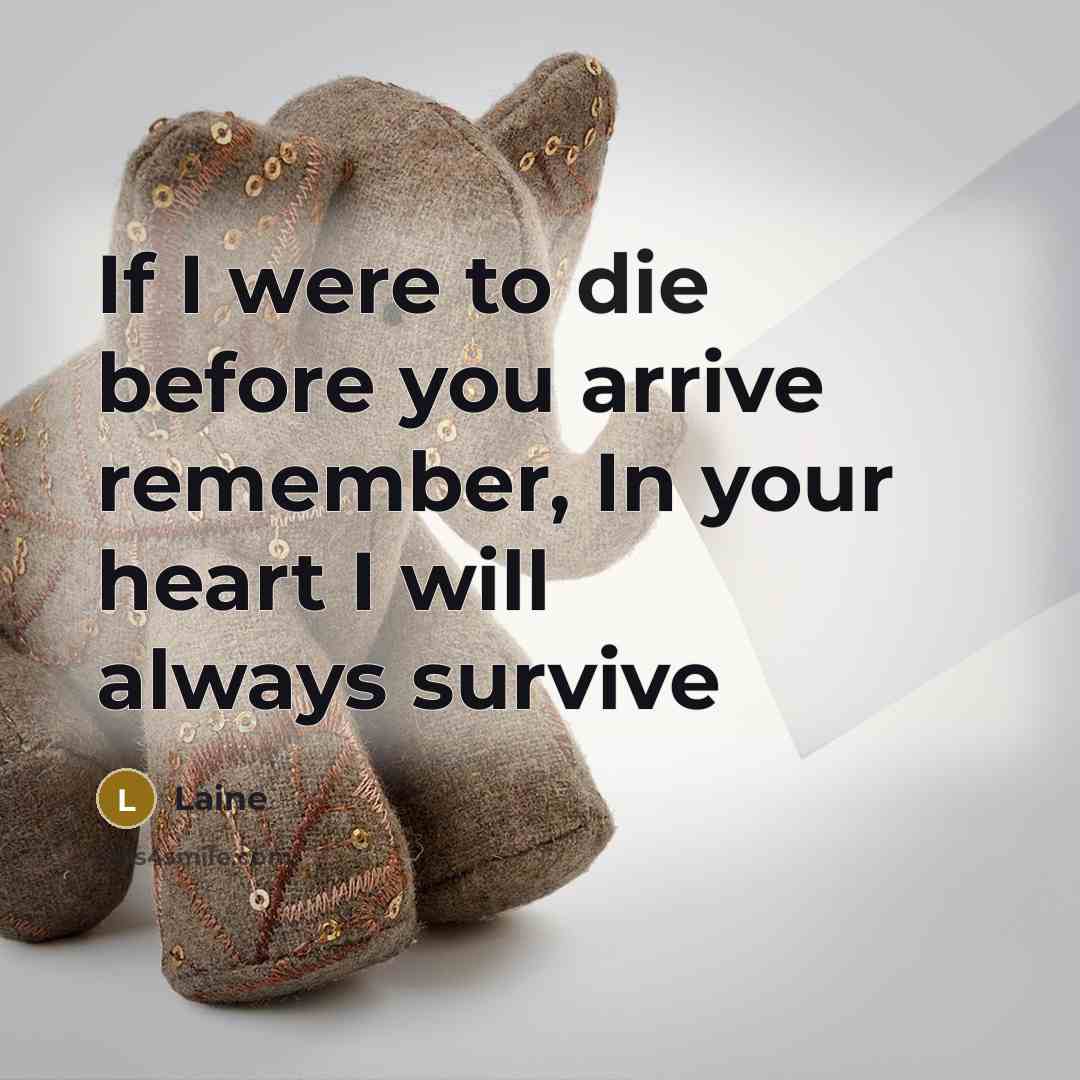 “If I were to die before you arrive remember, In your heart I will always survive” quote by Laine