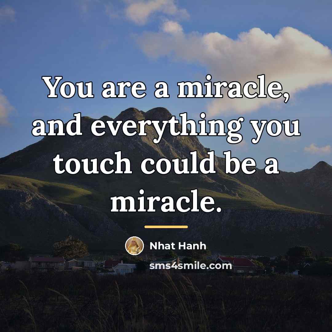“You are a miracle, and everything you touch could be…” quote by Nhat Hanh