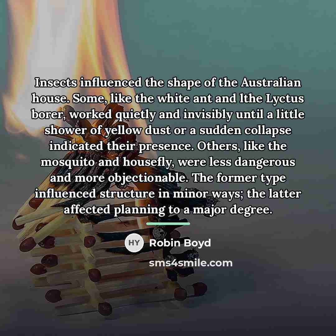 “Insects influenced the shape of the Australian house. Some, like…” quote by Robin Boyd