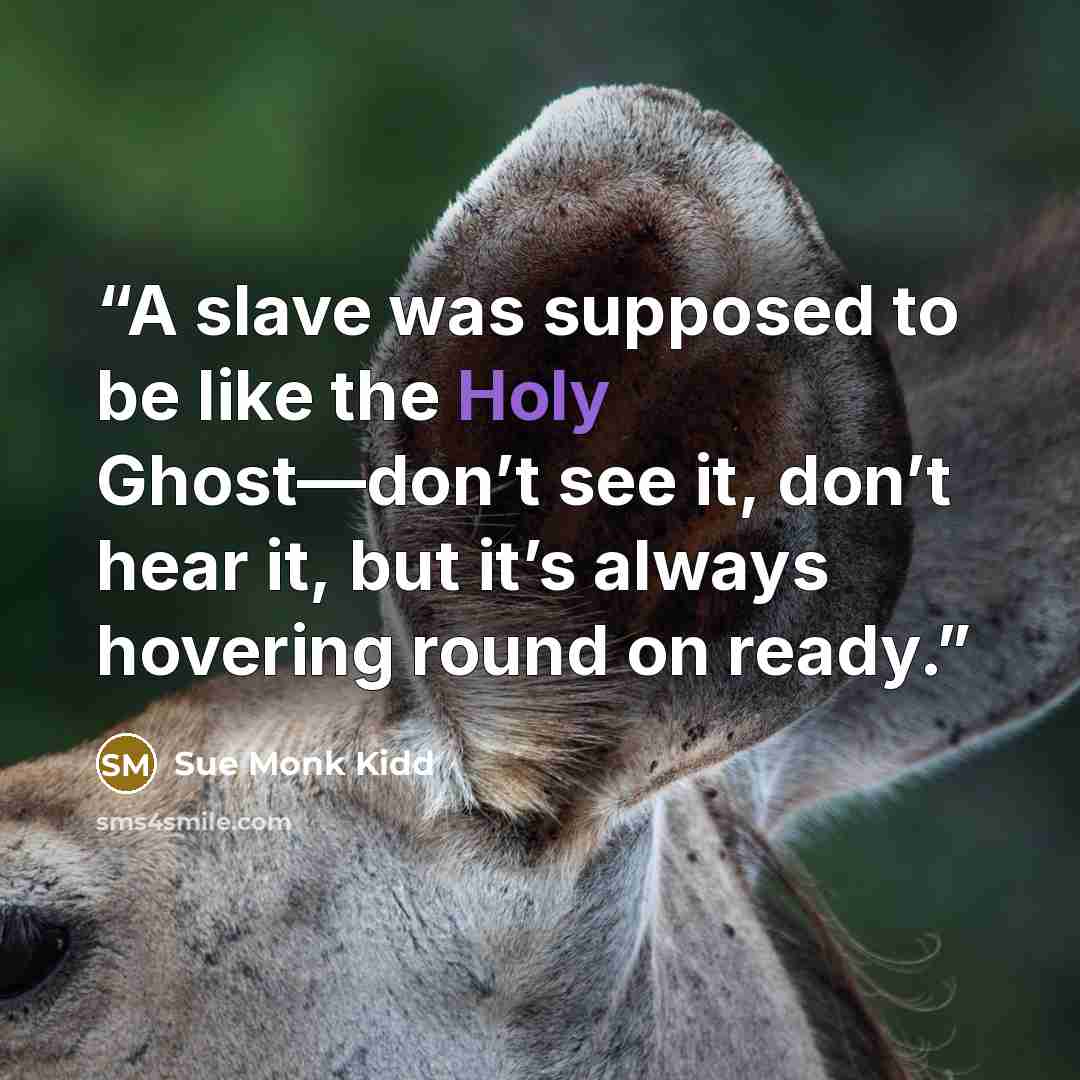 “A slave was supposed to be like the Holy Ghost—don’t see it, don’t hear it, but it’s always hovering round on ready.” quote by Sue Monk Kidd