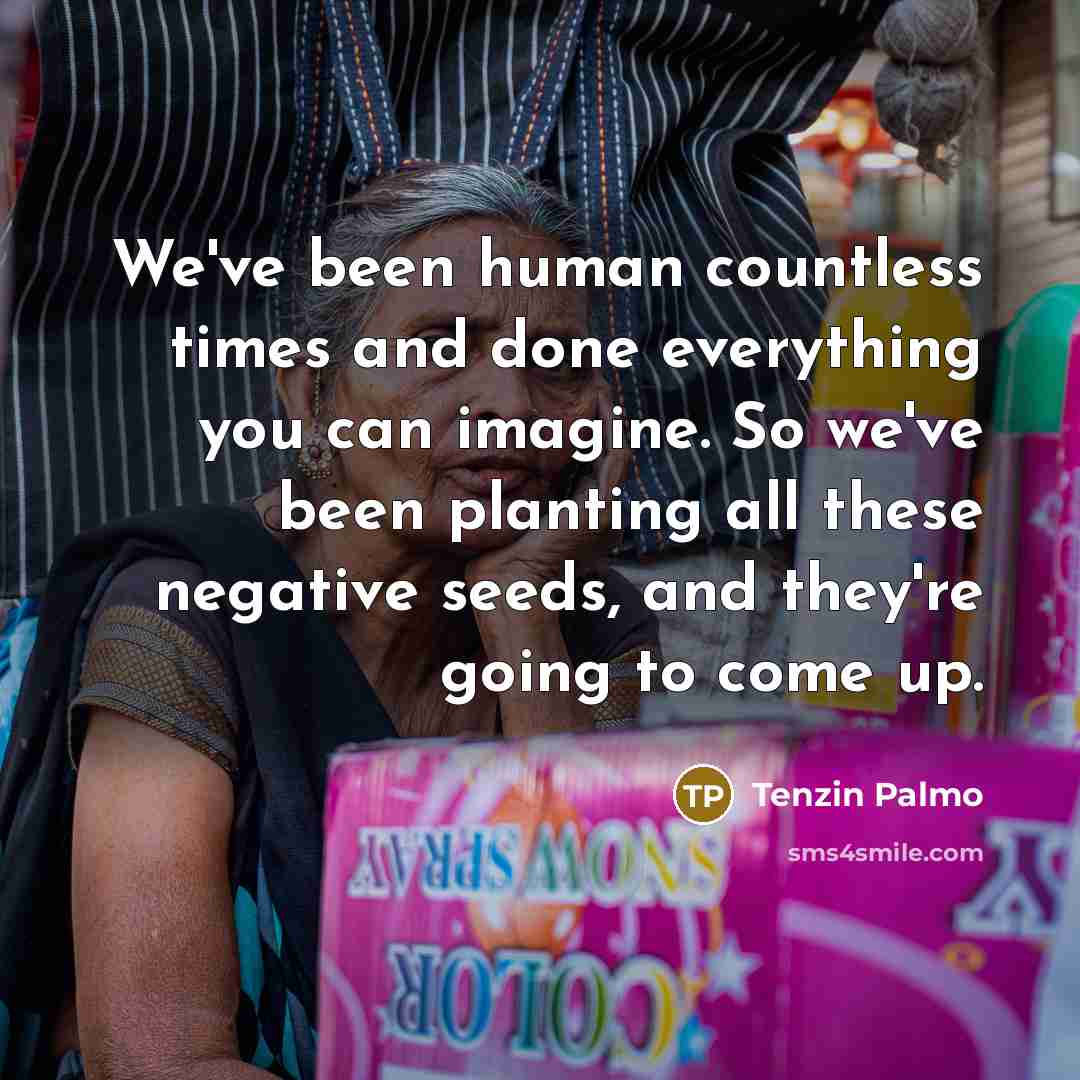 “We've been human countless times and done everything you can…” quote by Tenzin Palmo