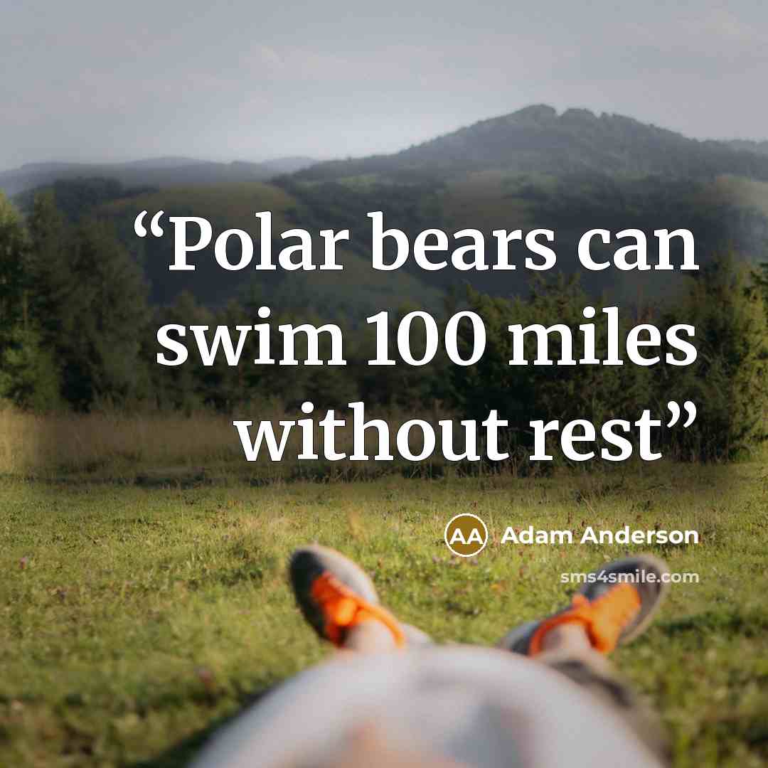 “Polar bears can swim 100 miles without rest” quote by Adam Anderson