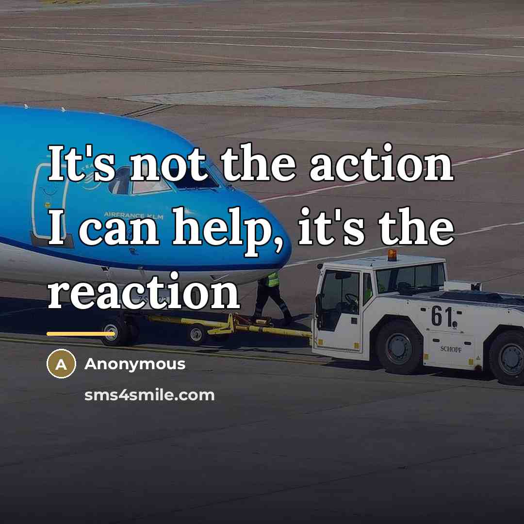 “It's not the action I can help, it's the reaction…” quote by Anonymous