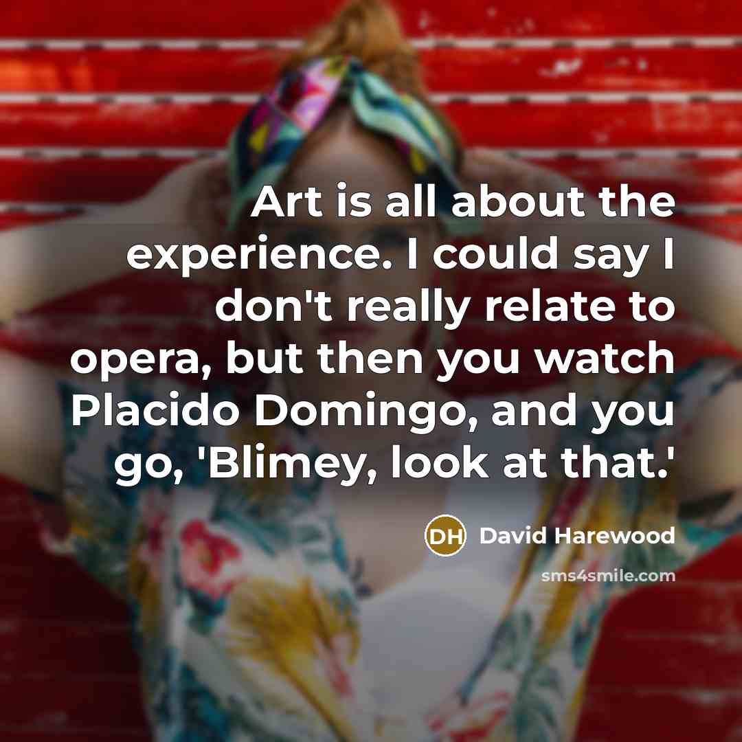 “Art is all about the experience. I could say I…” quote by David Harewood