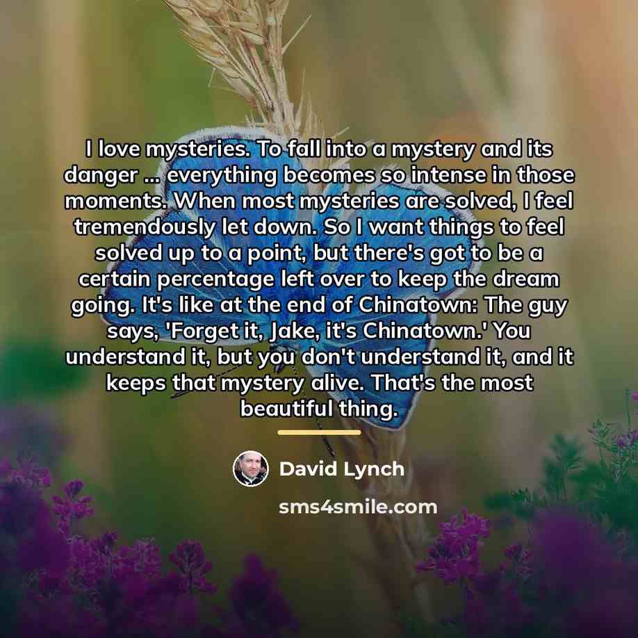 “I love mysteries. To fall into a mystery and its…” quote by David Lynch