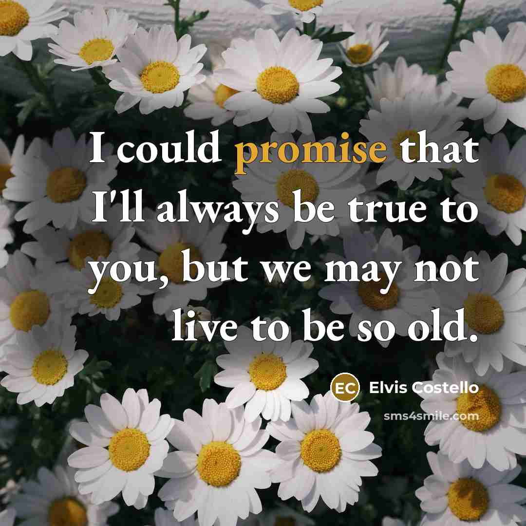 “I could promise that I'll always be true to you,…” quote by Elvis Costello