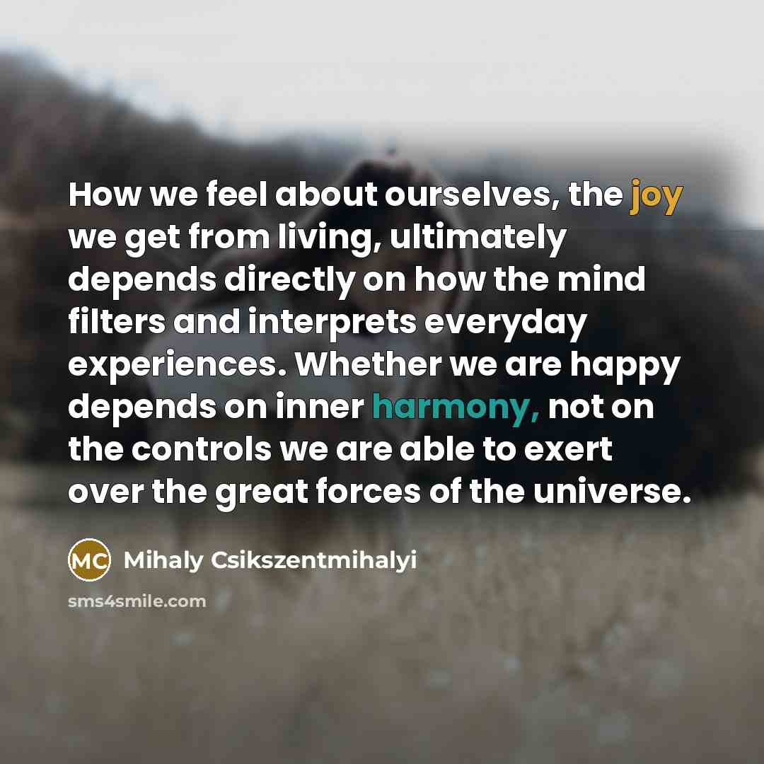 “How we feel about ourselves, the joy we get from…” quote by Mihaly Csikszentmihalyi