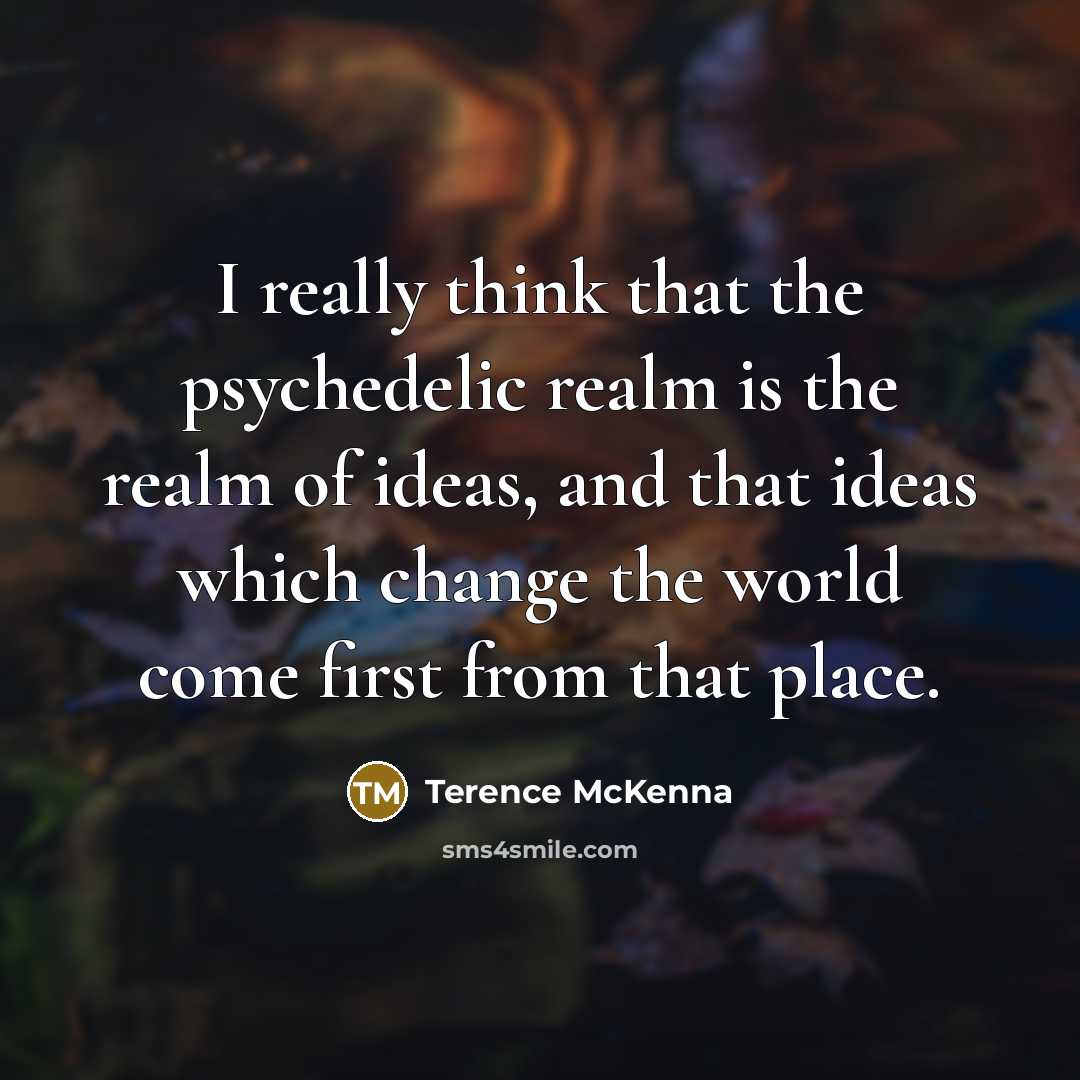 “I really think that the psychedelic realm is the realm…” quote by Terence McKenna