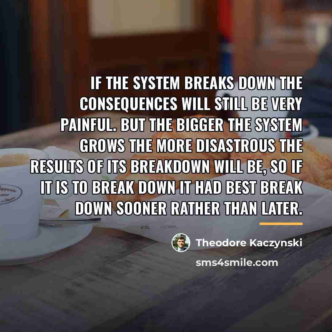 “If the system breaks down the consequences will still be…” quote by Theodore Kaczynski
