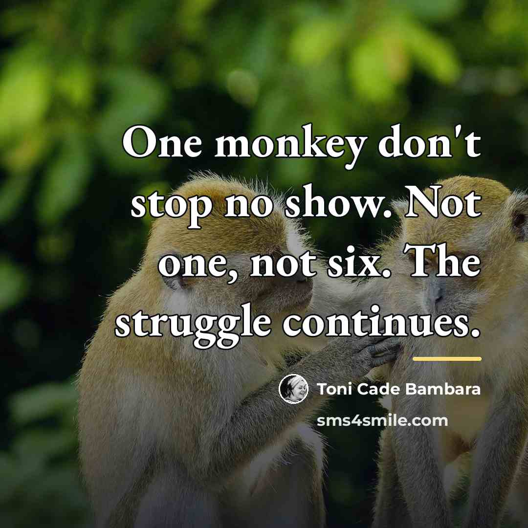 “One monkey don't stop no show. Not one, not six.…” quote by Toni Cade Bambara