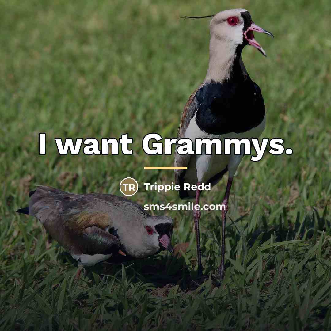 “I want Grammys.…” quote by Trippie Redd