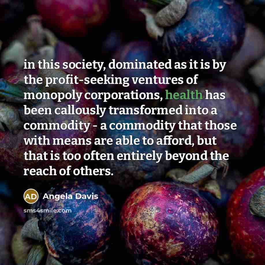 “in this society, dominated as it is by the profit-seeking…” quote by Angela Davis