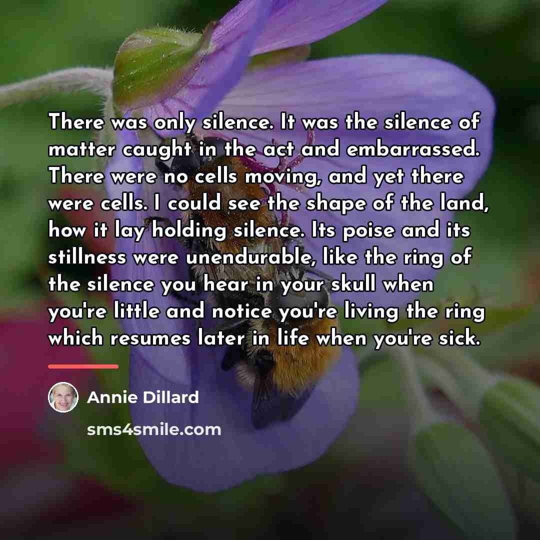 “There was only silence. It was the silence of matter…” quote by Annie Dillard