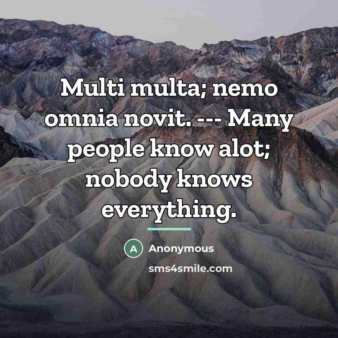 “Multi multa; nemo omnia novit. --- Many people know alot;…” quote by Anonymous