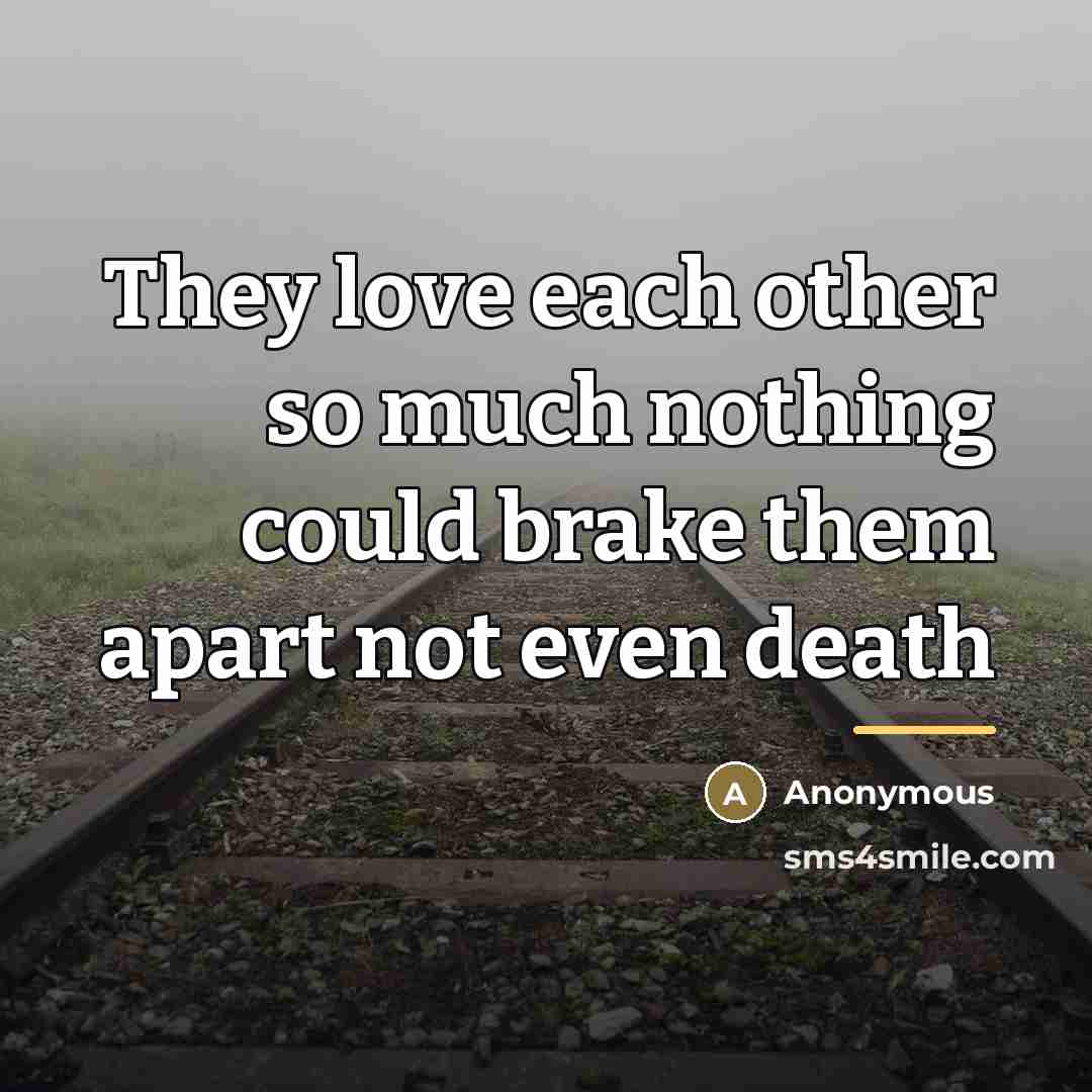 “They love each other so much nothing could brake them…” quote by Anonymous