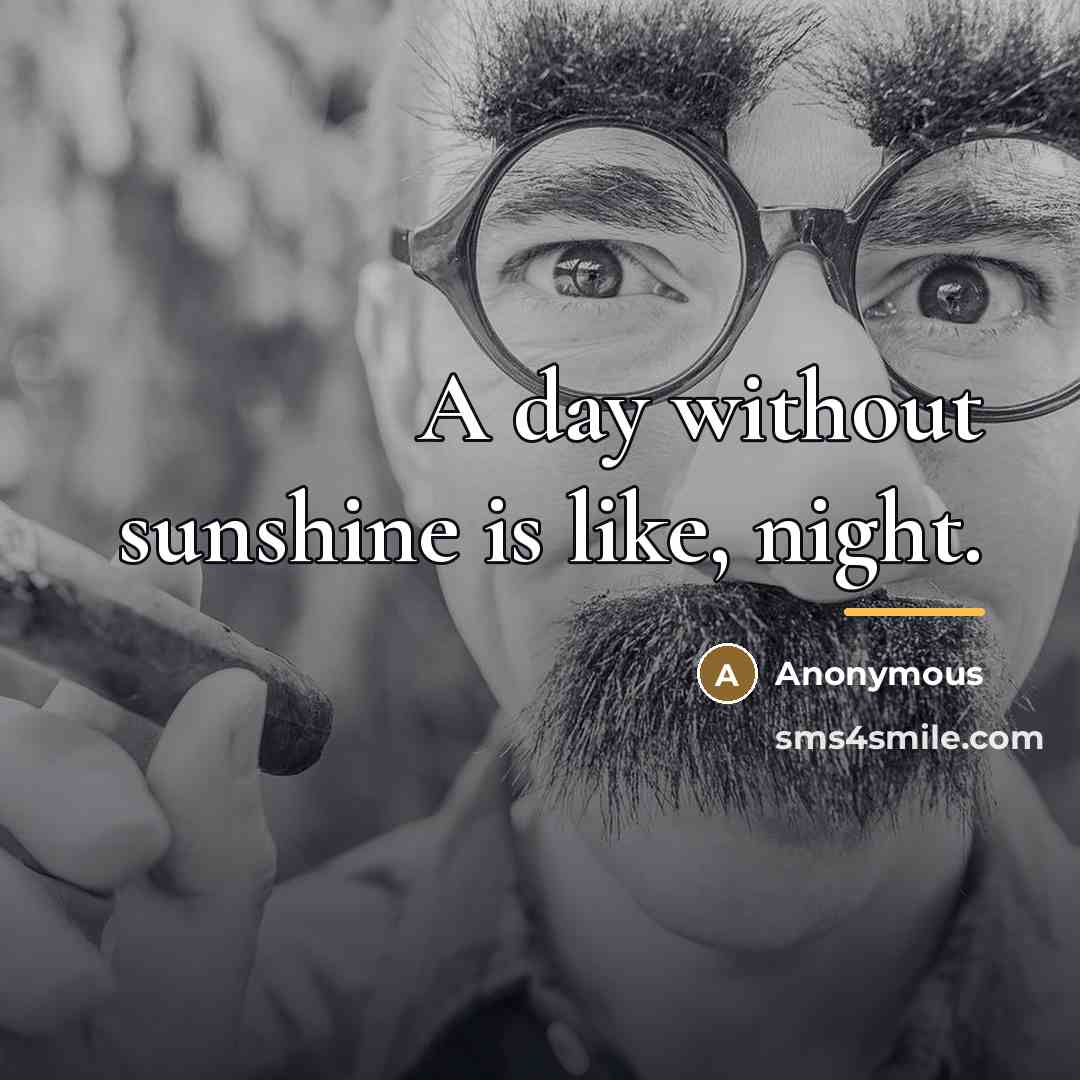 “A day without sunshine is like, night.…” quote by Anonymous