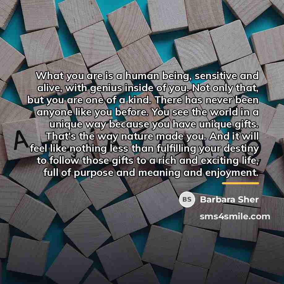 “What you are is a human being, sensitive and alive,…” quote by Barbara Sher