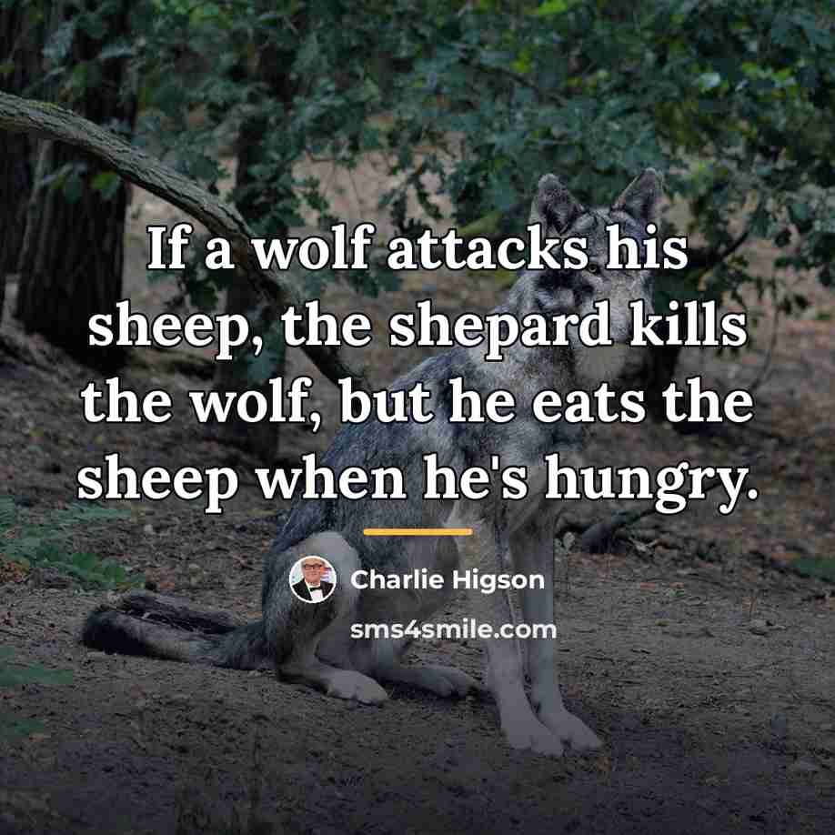 “If a wolf attacks his sheep, the shepard kills the…” quote by Charlie Higson