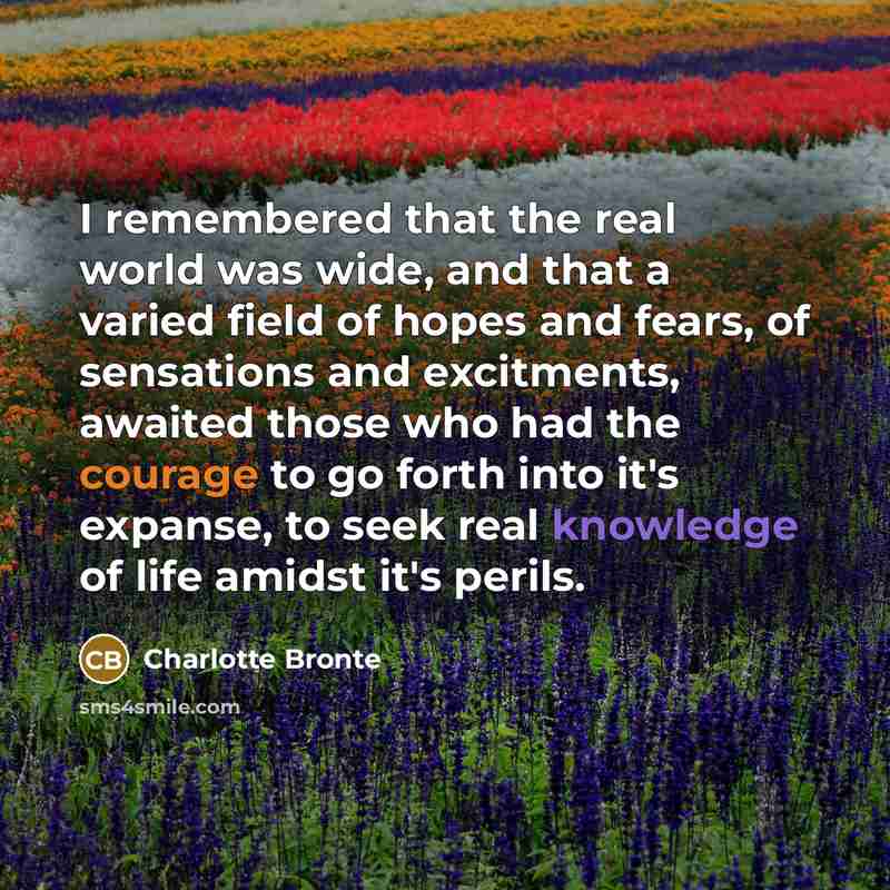 “I remembered that the real world was wide, and that…” quote by Charlotte Bronte
