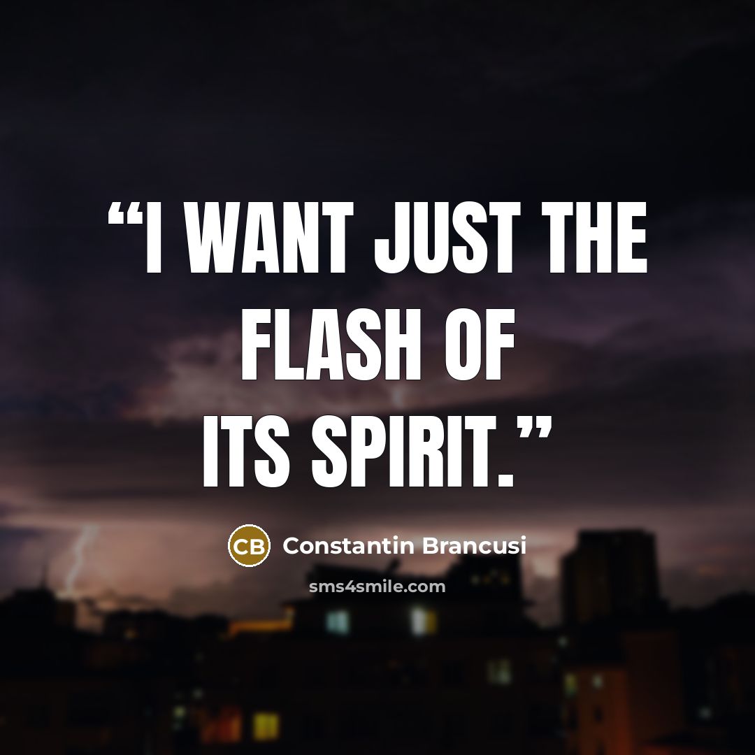 “I want just the flash of its spirit.” quote by Constantin Brancusi