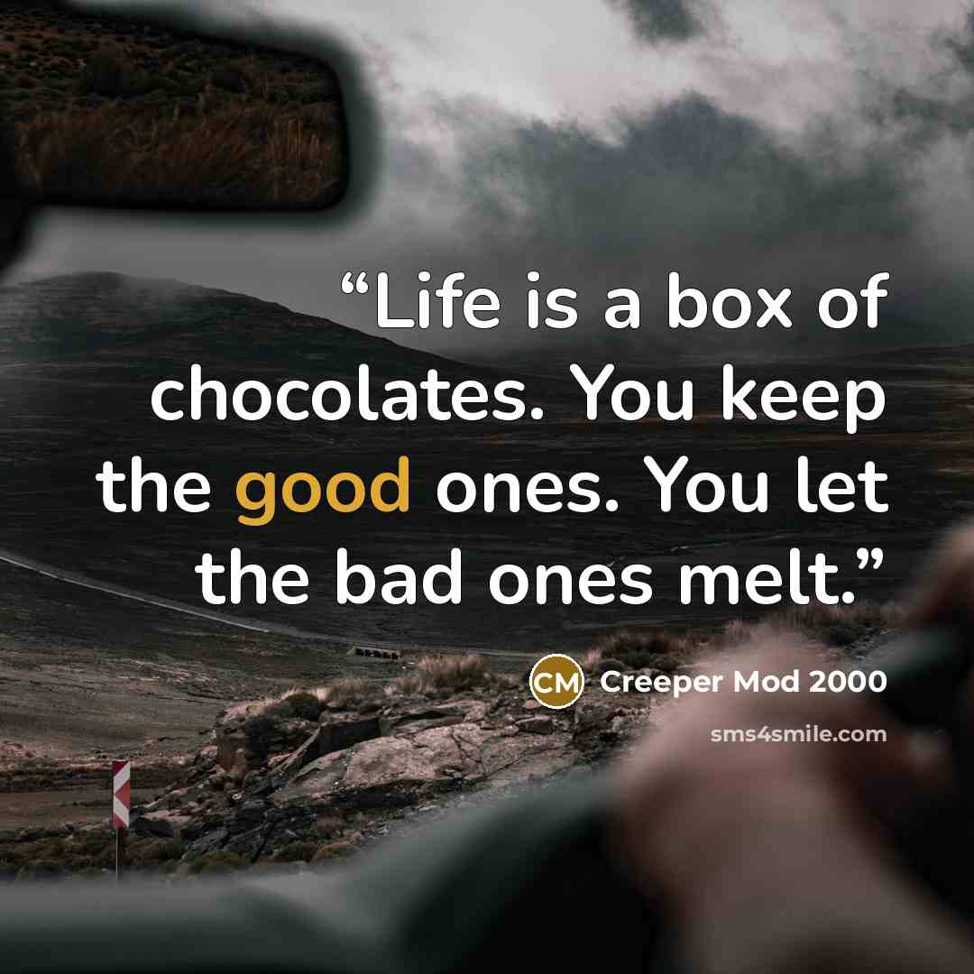 “Life is a box of chocolates. You keep the good ones. You let the bad ones melt.” quote by Creeper Mod 2000
