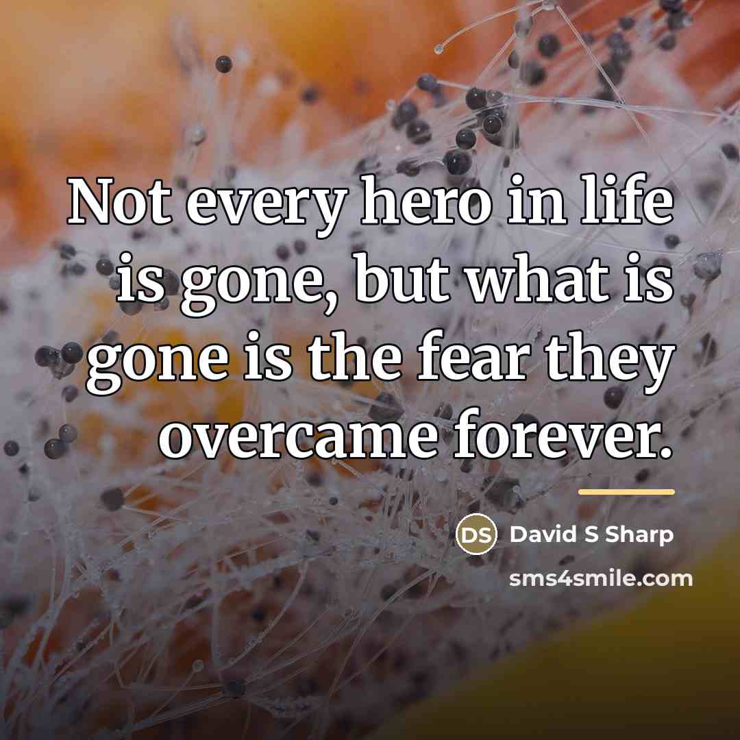 “Not every hero in life is gone, but what is…” quote by David S Sharp