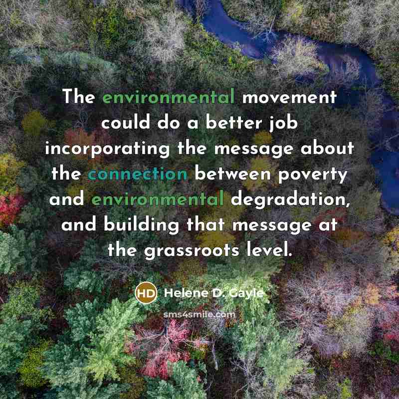 “The environmental movement could do a better job incorporating the…” quote by Helene D. Gayle