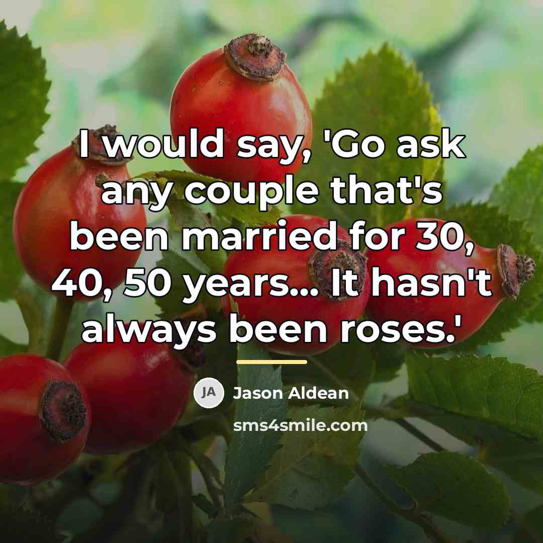 “I would say, 'Go ask any couple that's been married…” quote by Jason Aldean
