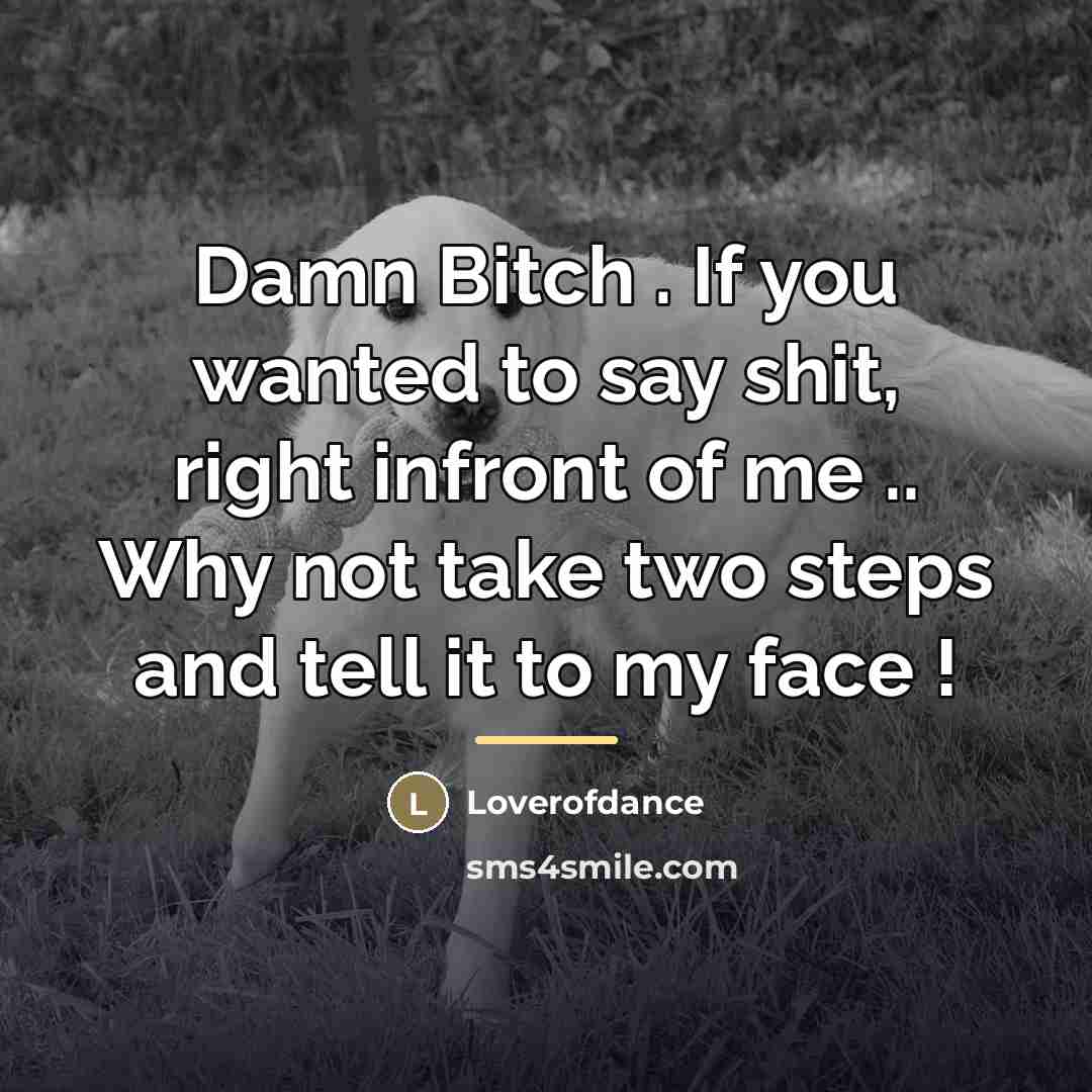 “Damn Bitch . If you wanted to say shit, right…” quote by Loverofdance