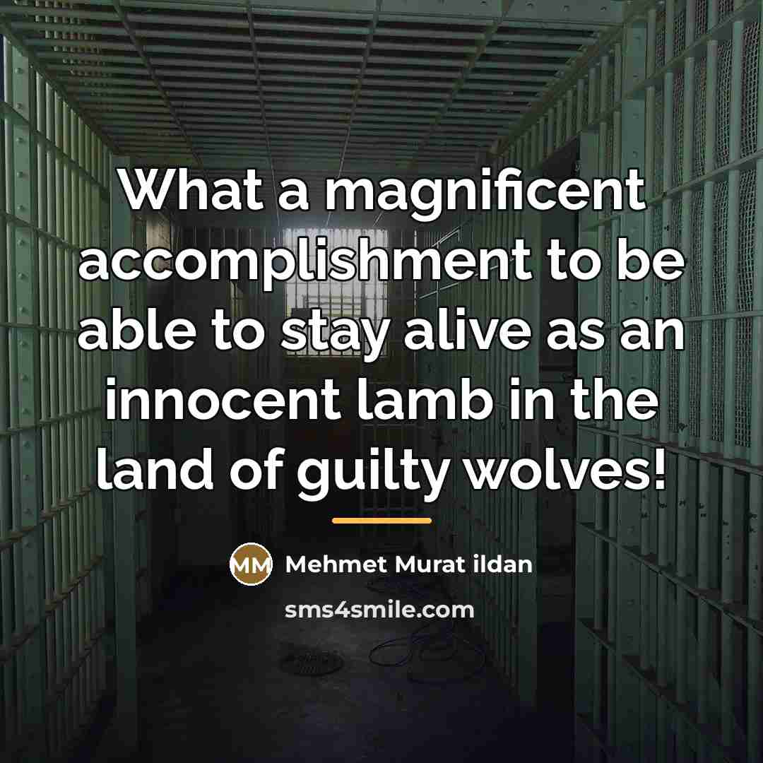 “What a magnificent accomplishment to be able to stay alive…” quote by Mehmet Murat Ildan