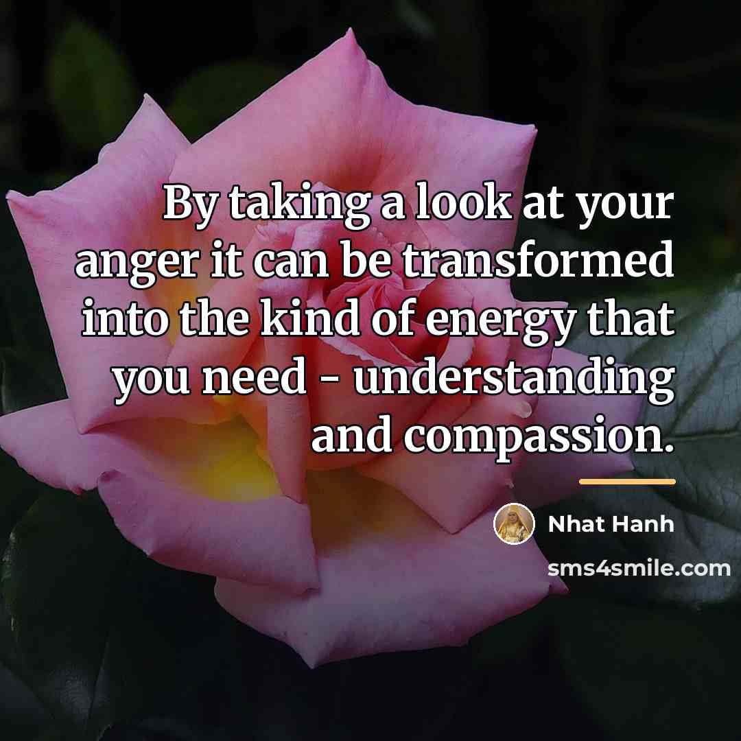 “By taking a look at your anger it can be…” quote by Nhat Hanh