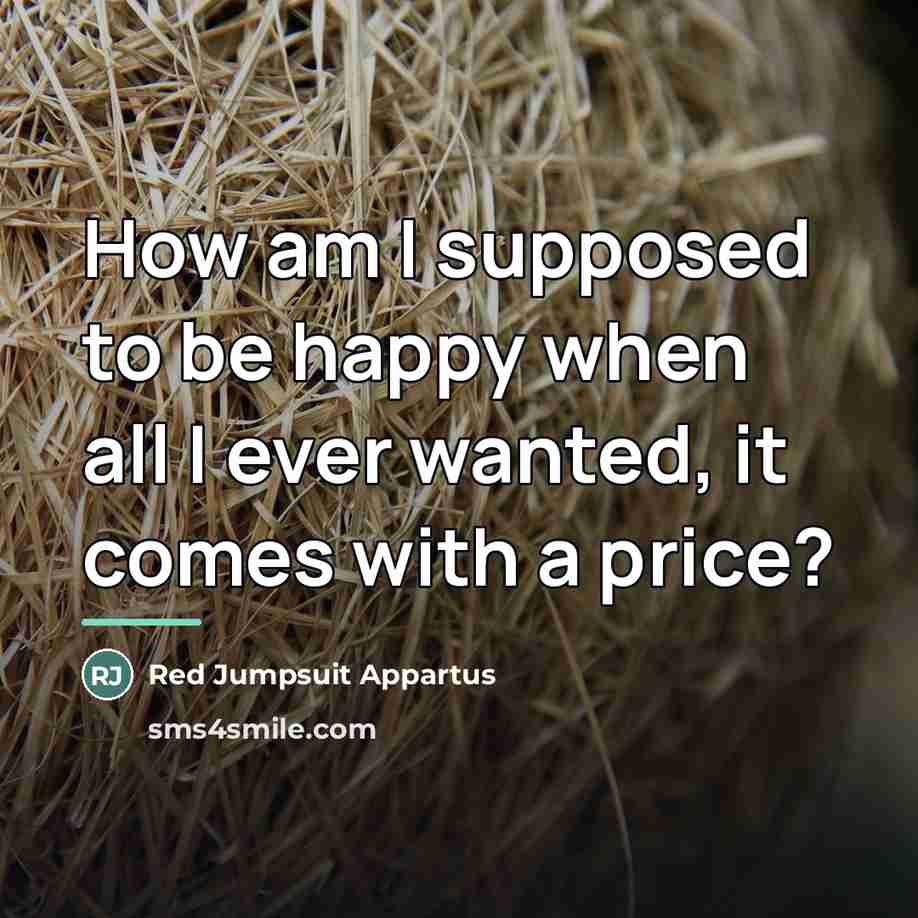 “How am I supposed to be happy when all I…” quote by Red Jumpsuit Appartus
