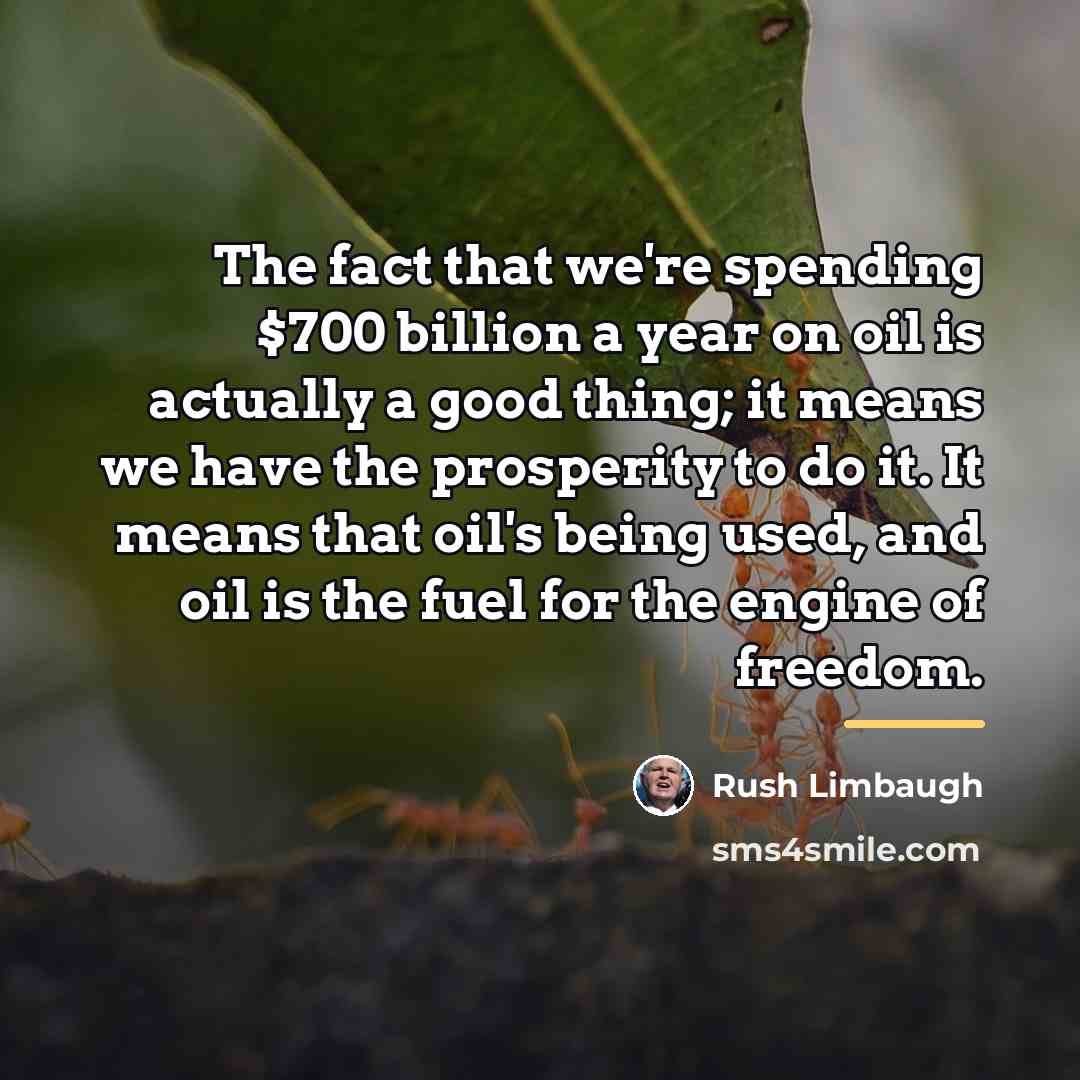 “The fact that we're spending $700 billion a year on…” quote by Rush Limbaugh