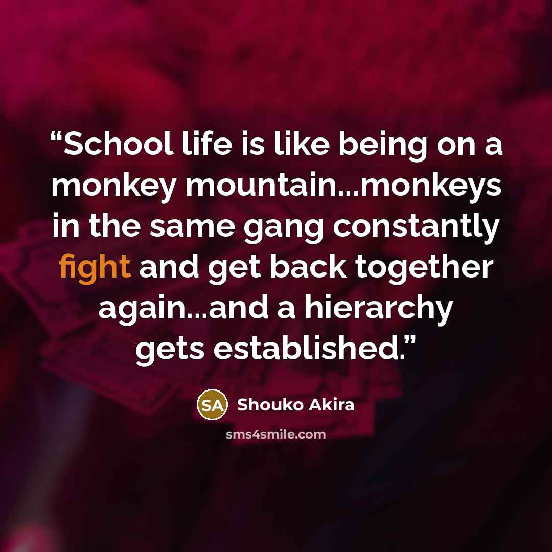 “School life is like being on a monkey mountain...monkeys in the same gang constantly fight and get back together again...and a hierarchy gets established.” quote by Shouko Akira