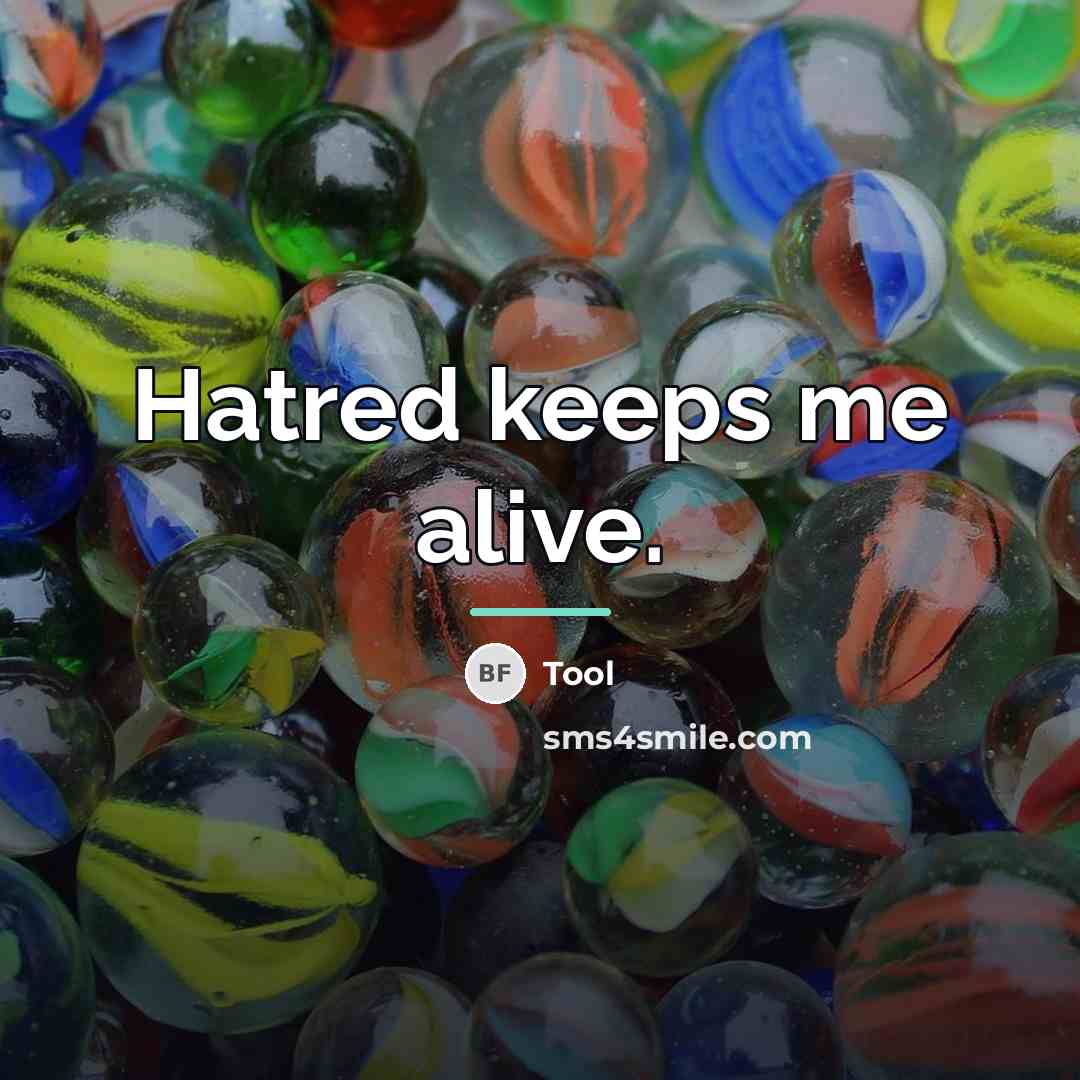 “Hatred keeps me alive.…” quote by Tool
